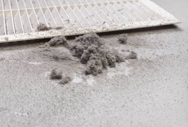 Best Air Duct Cleaning Near Me  in Langhorne, PA
