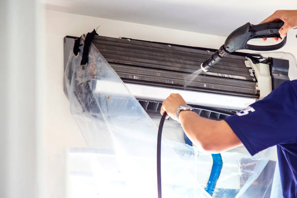 Best Air Duct Mold Removal  in Langhorne, PA
